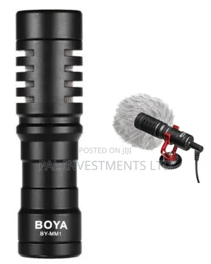 Photo - Portable Cardioid Microphone