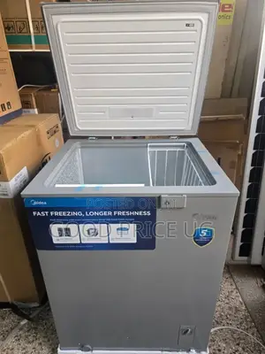 Chest Freezer 300l