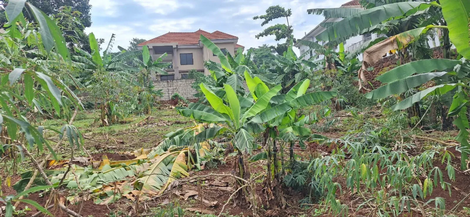 Plot for Sale in Buwaate