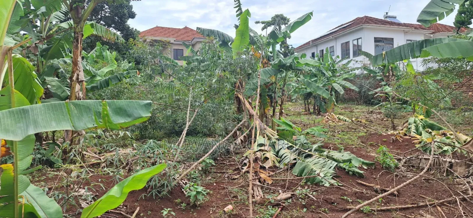 Plot for Sale in Buwaate
