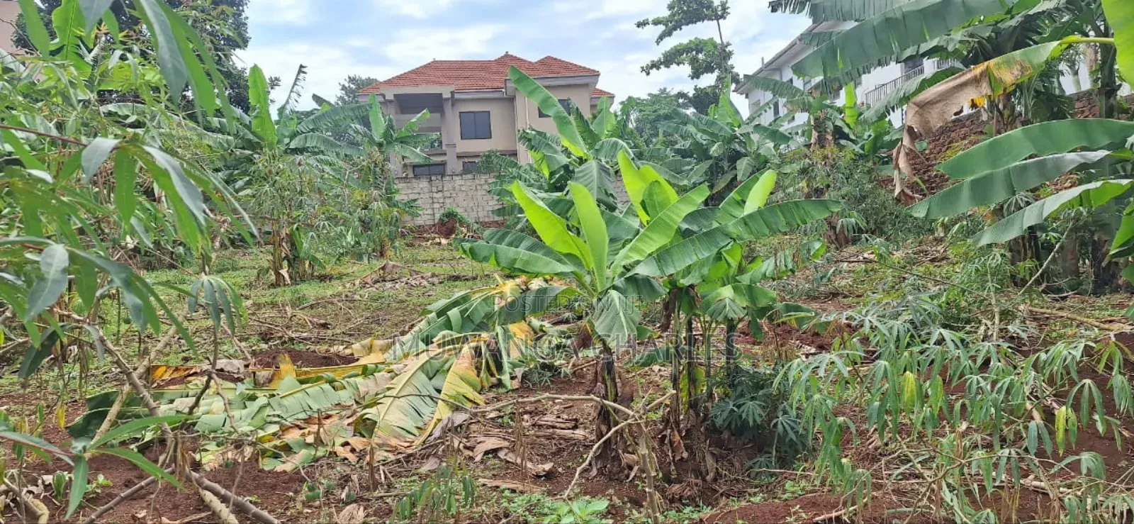 Plot for Sale in Buwaate