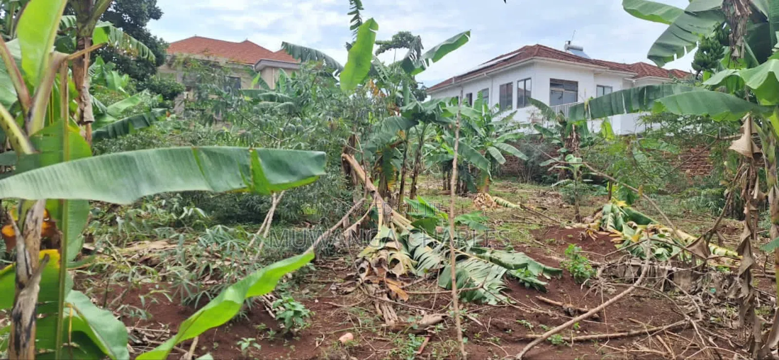 Plot for Sale in Buwaate
