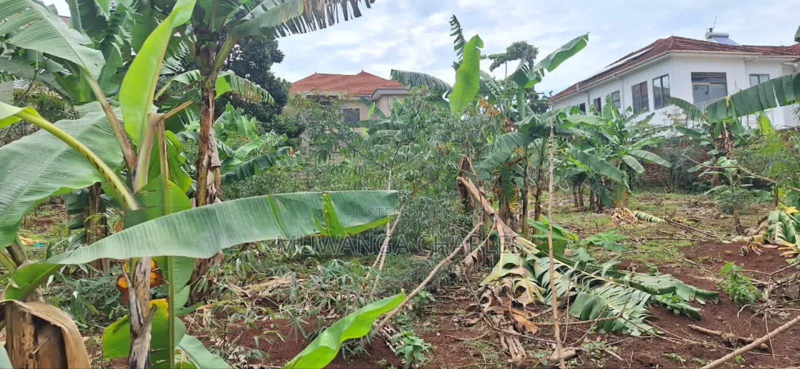 Plot for Sale in Buwaate