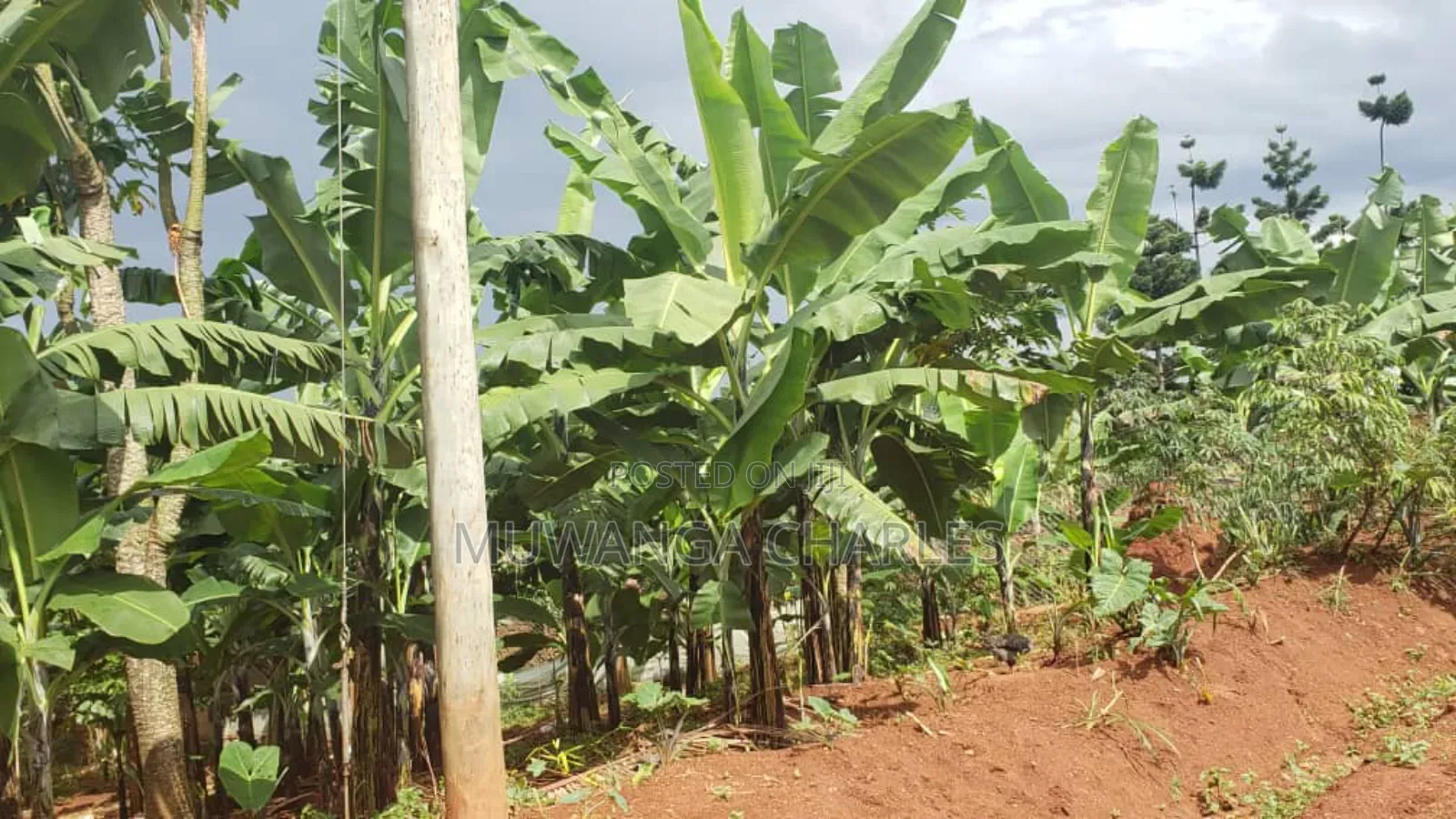 Plot for Sale in Buwaate