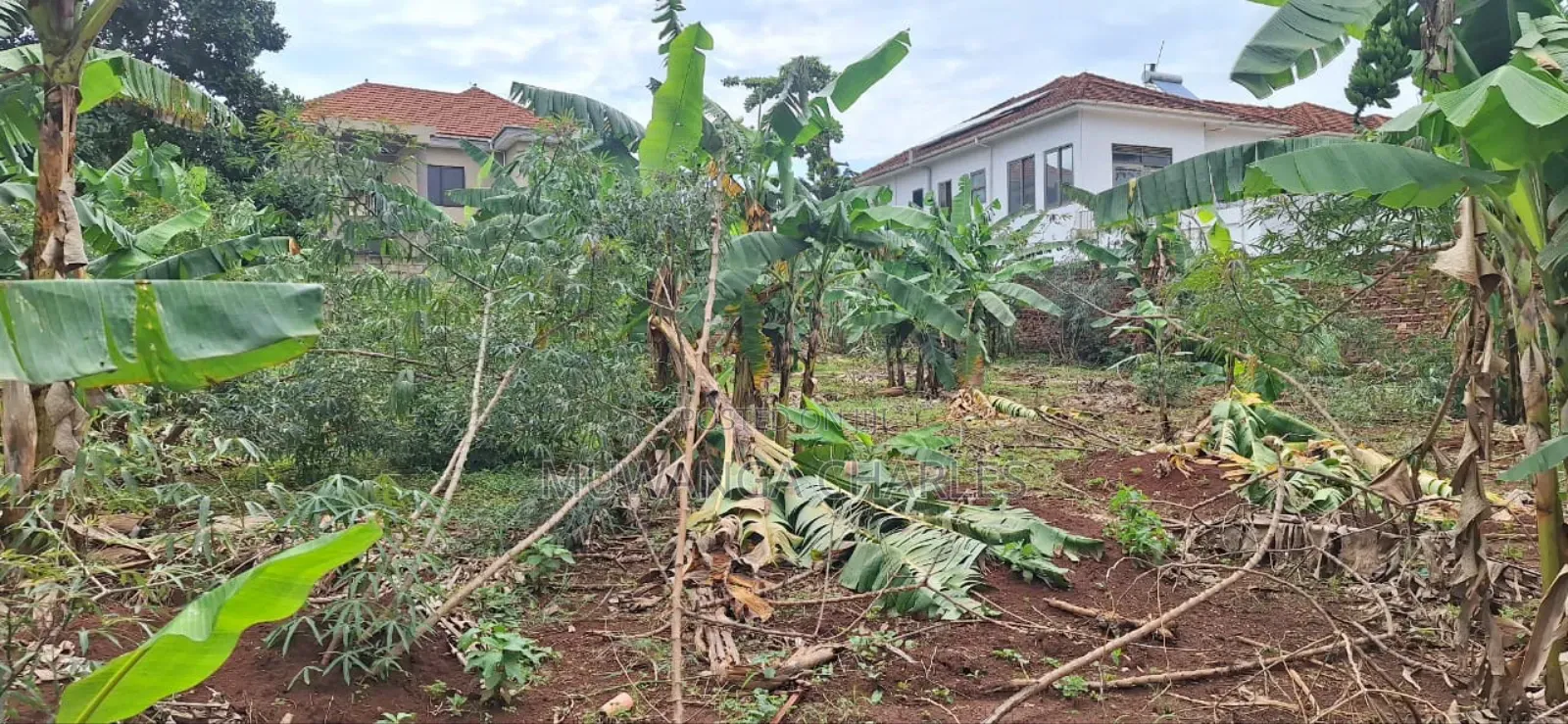 Plot for Sale in Buwaate