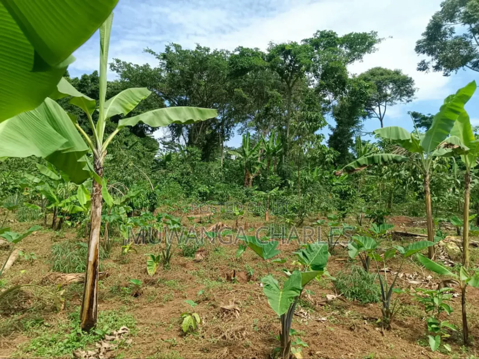 Plot for Sale in Buwaate