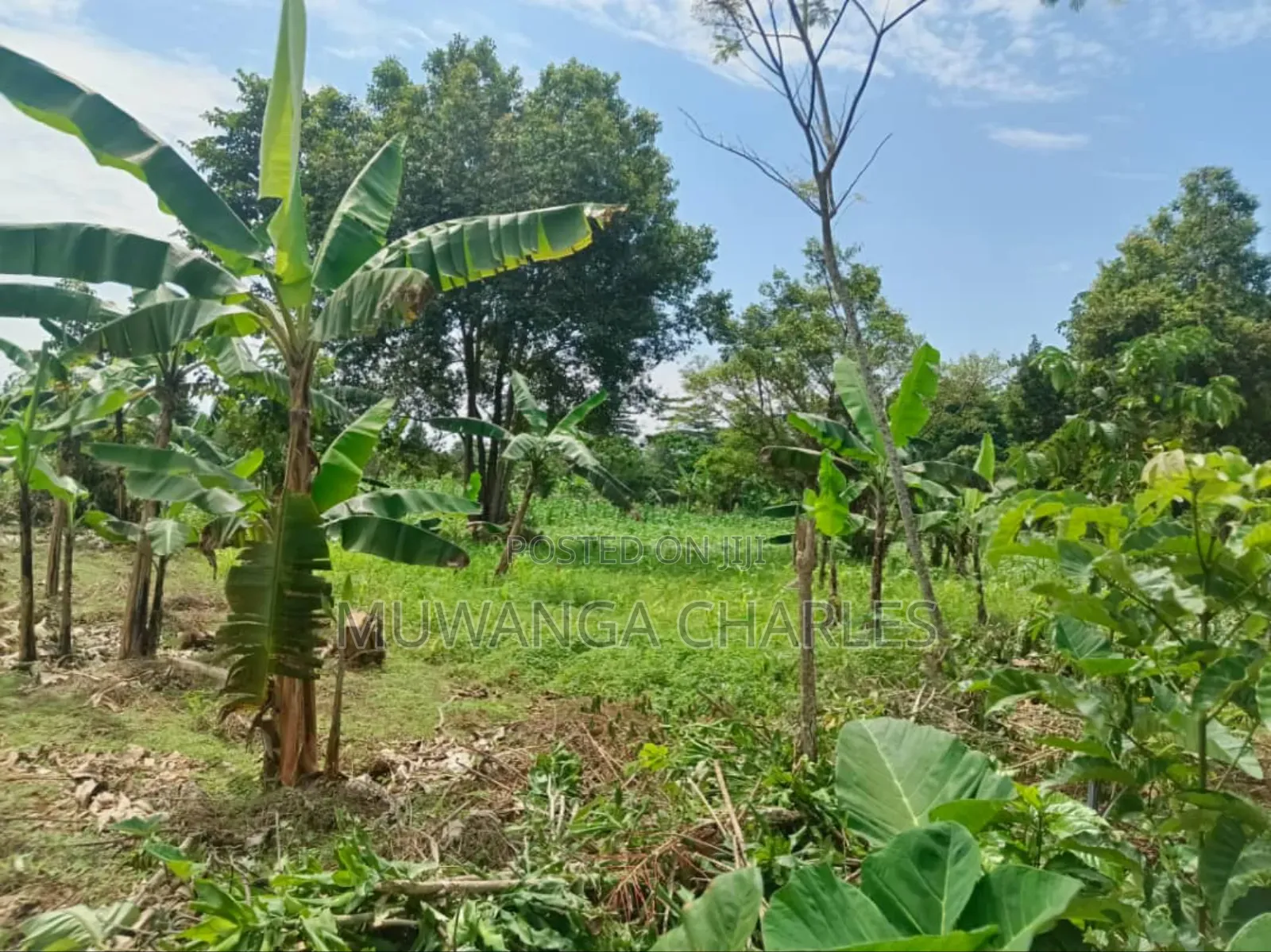 Plot for Sale in Buwaate
