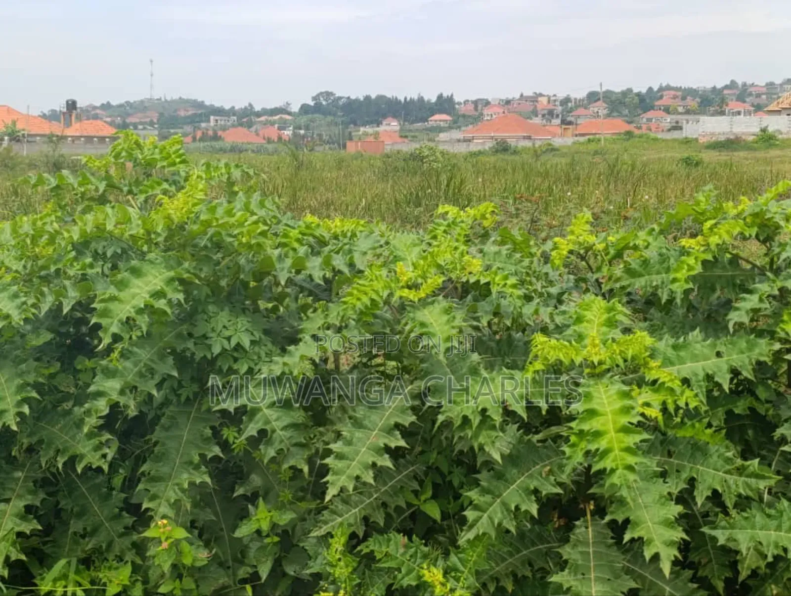 Plot on Sale in Kyanja Kungu