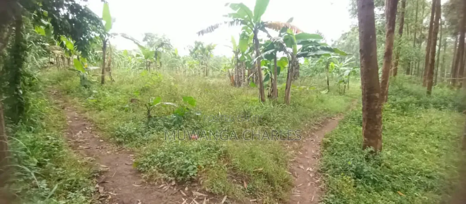 Land for Sale in Luwero