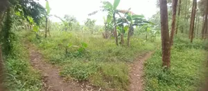 Land for Sale in Luwero