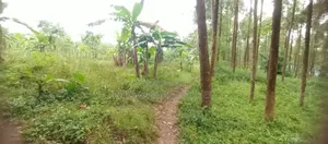 Land for Sale in Luwero