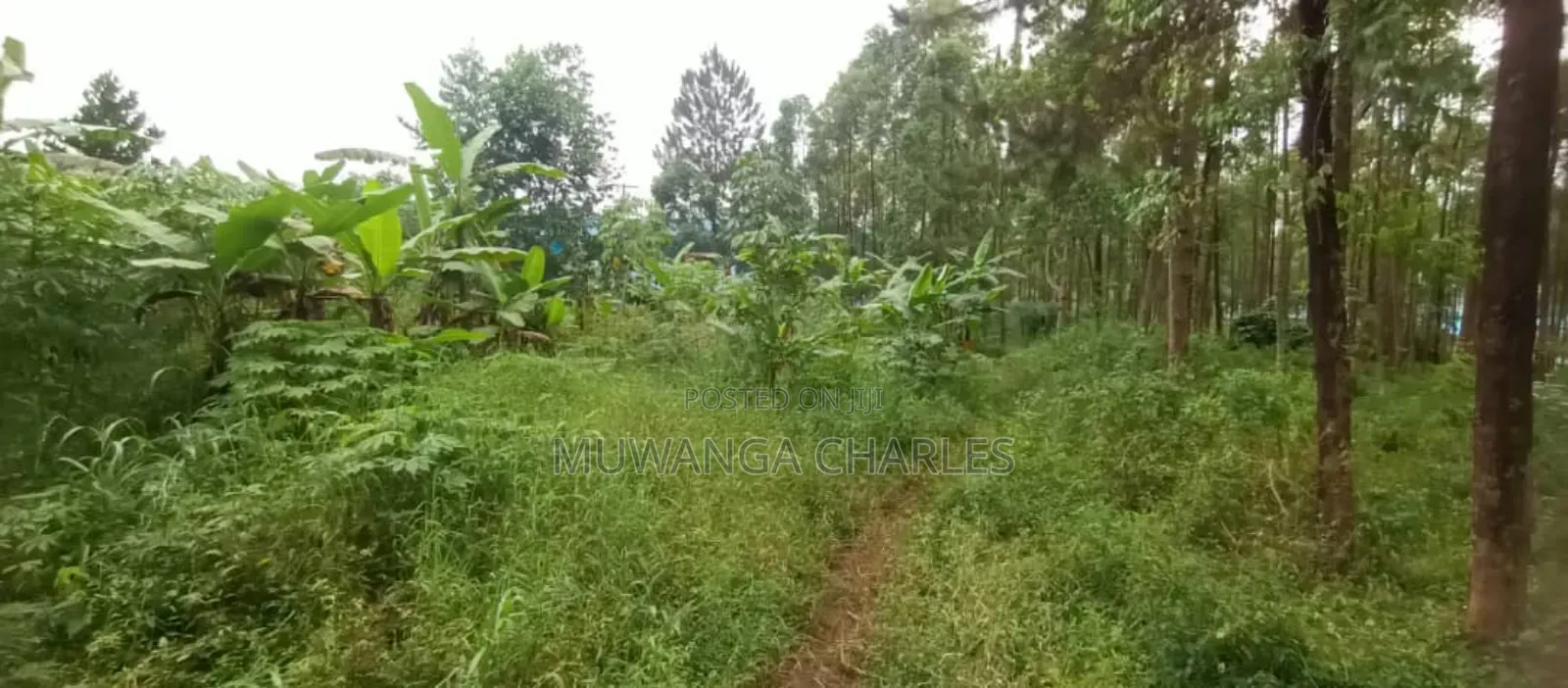 Land for Sale in Luwero