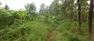 Land for Sale in Luwero