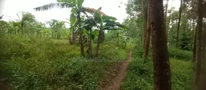 Land for Sale in Luwero