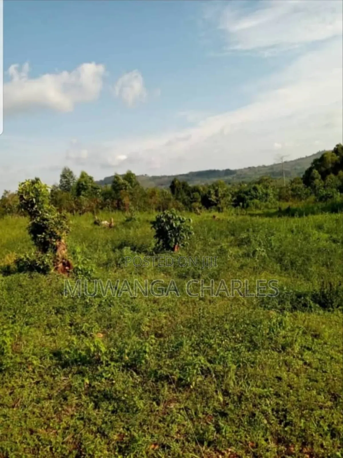 Land for Sale in Luwero