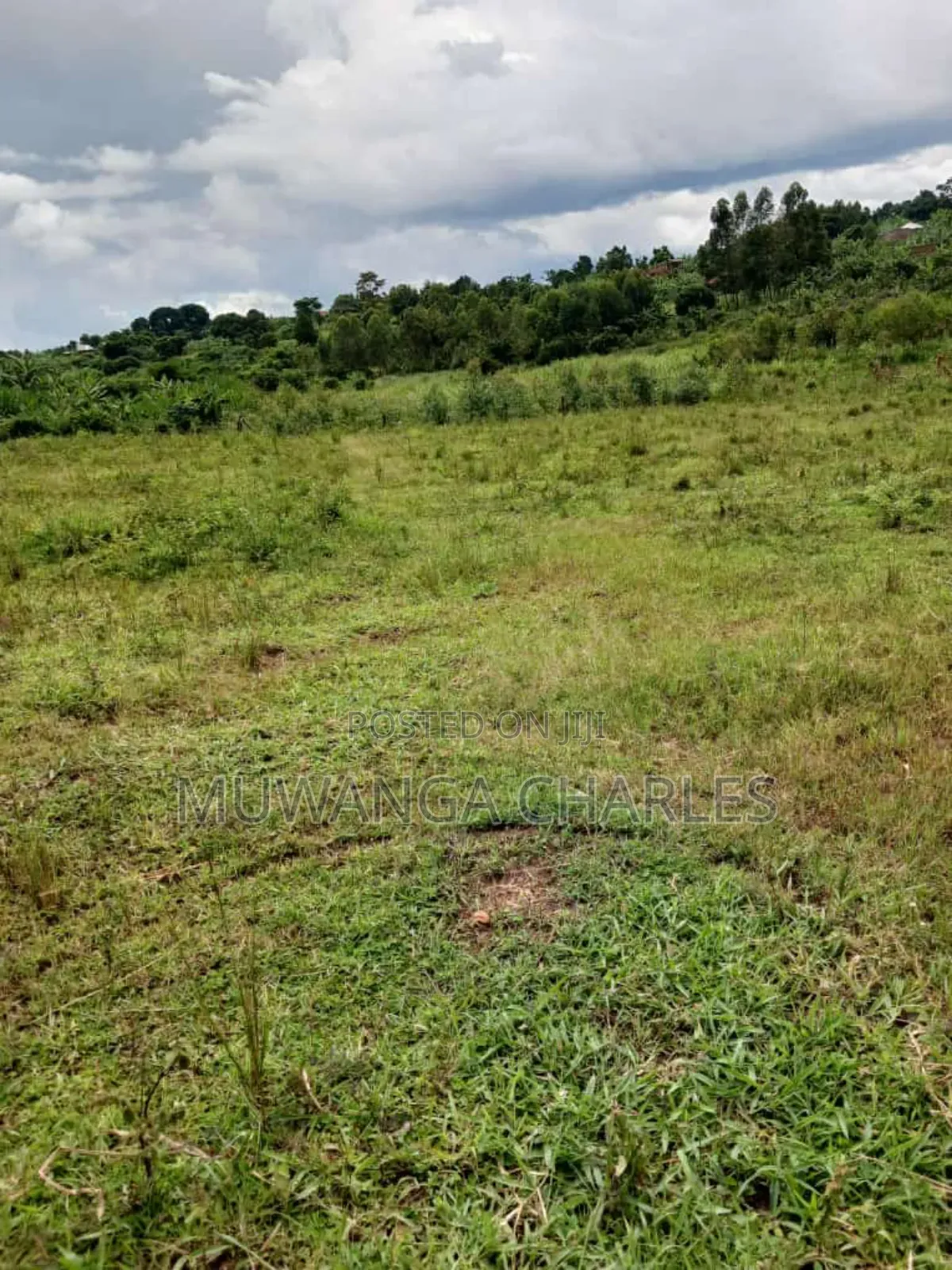 Land for Sale in Luwero