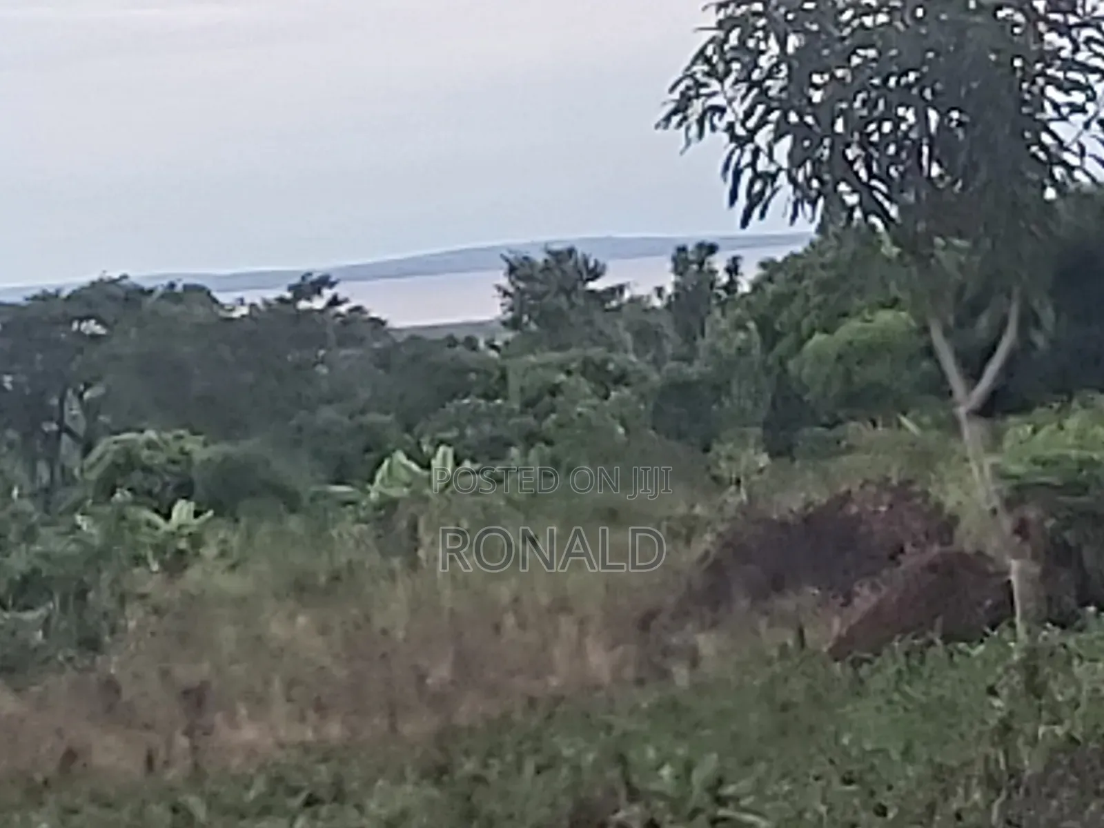 10 Acres of Land for Sale