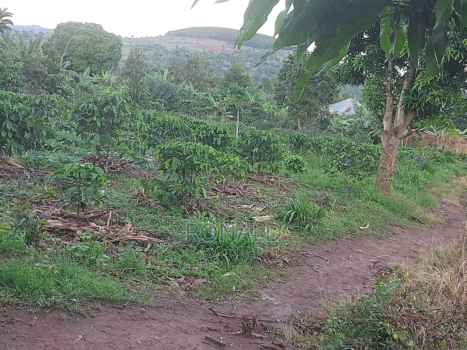 10 Acres of Land for Sale