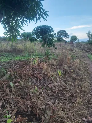10 Acres of Land for Sale