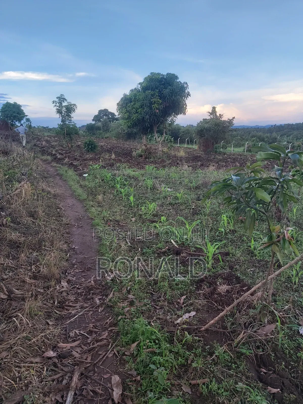 10 Acres of Land for Sale