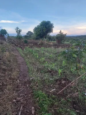 10 Acres of Land for Sale