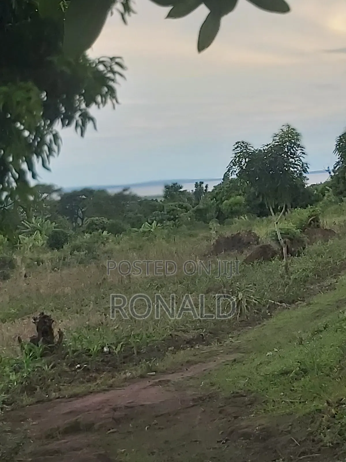 10 Acres of Land for Sale