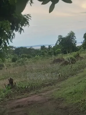 10 Acres of Land for Sale