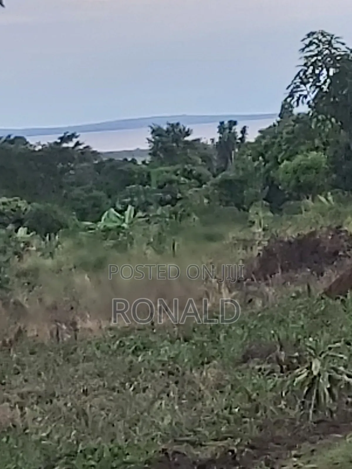 10 Acres of Land for Sale