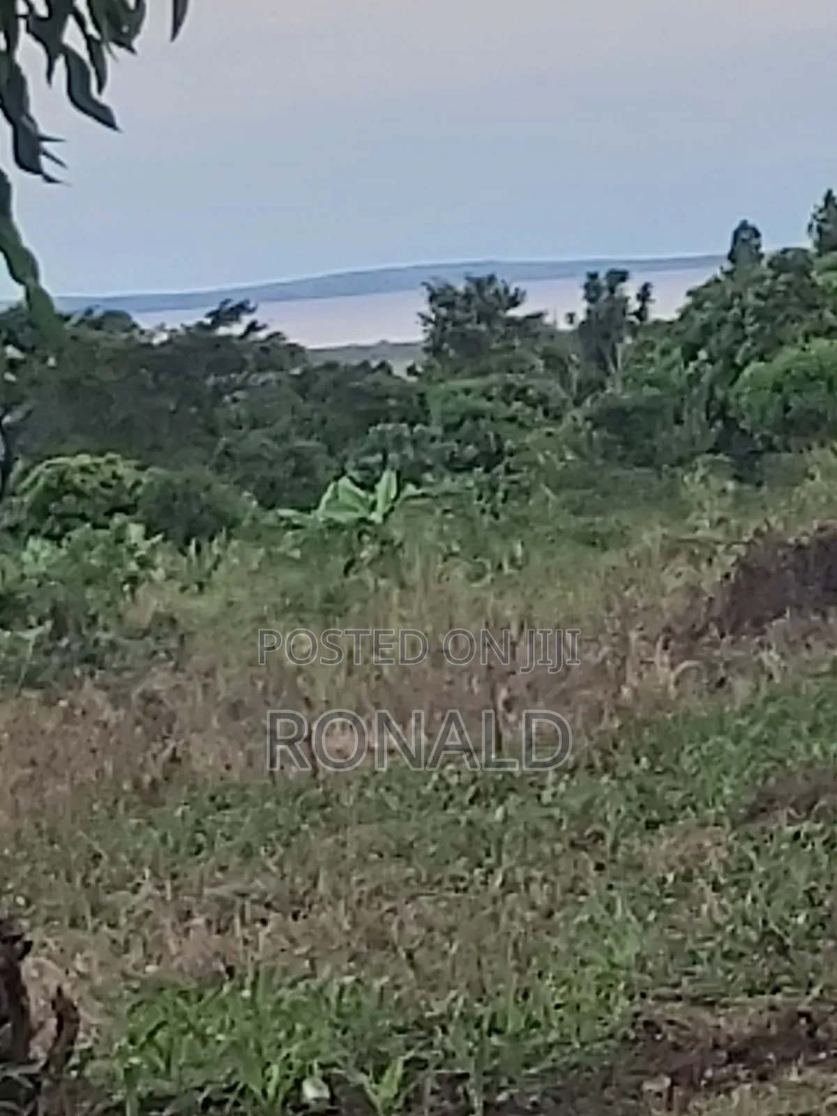 10 Acres of Land for Sale