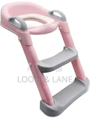 Two Step Kids Toilet Training Ladder
