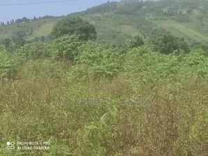 5acres for Sale in Bombo Road Kakerenge