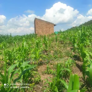 5acres for Sale in Bombo Road Kakerenge