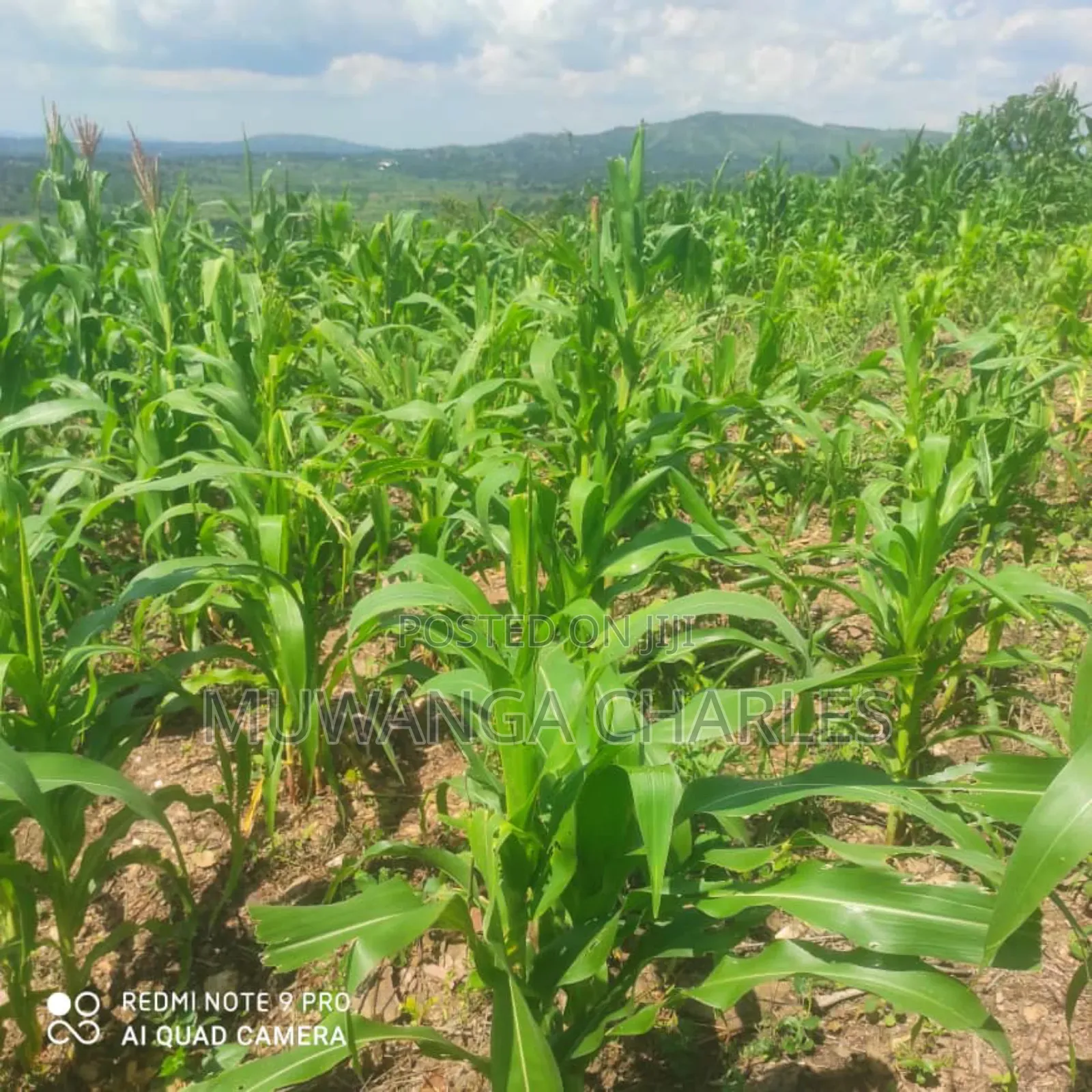 5acres for Sale in Bombo Road Kakerenge