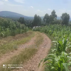 5acres for Sale in Bombo Road Migadde