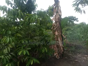 5acres for Sale in Bombo Road Migadde