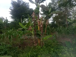 5acres for Sale in Bombo Road Migadde