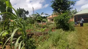 Entebbe Kabaale B Titled Land 100ft by 50 Ft on Tarmac Road