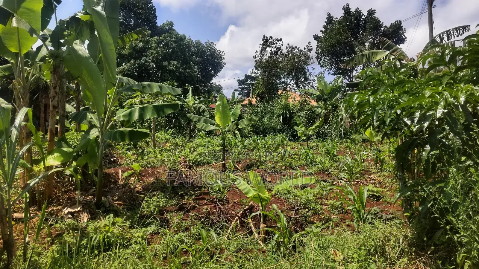 Entebbe Kabaale B Titled Land 100ft by 50 Ft on Tarmac Road