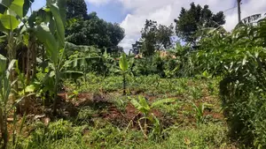 Entebbe Kabaale B Titled Land 100ft by 50 Ft on Tarmac Road