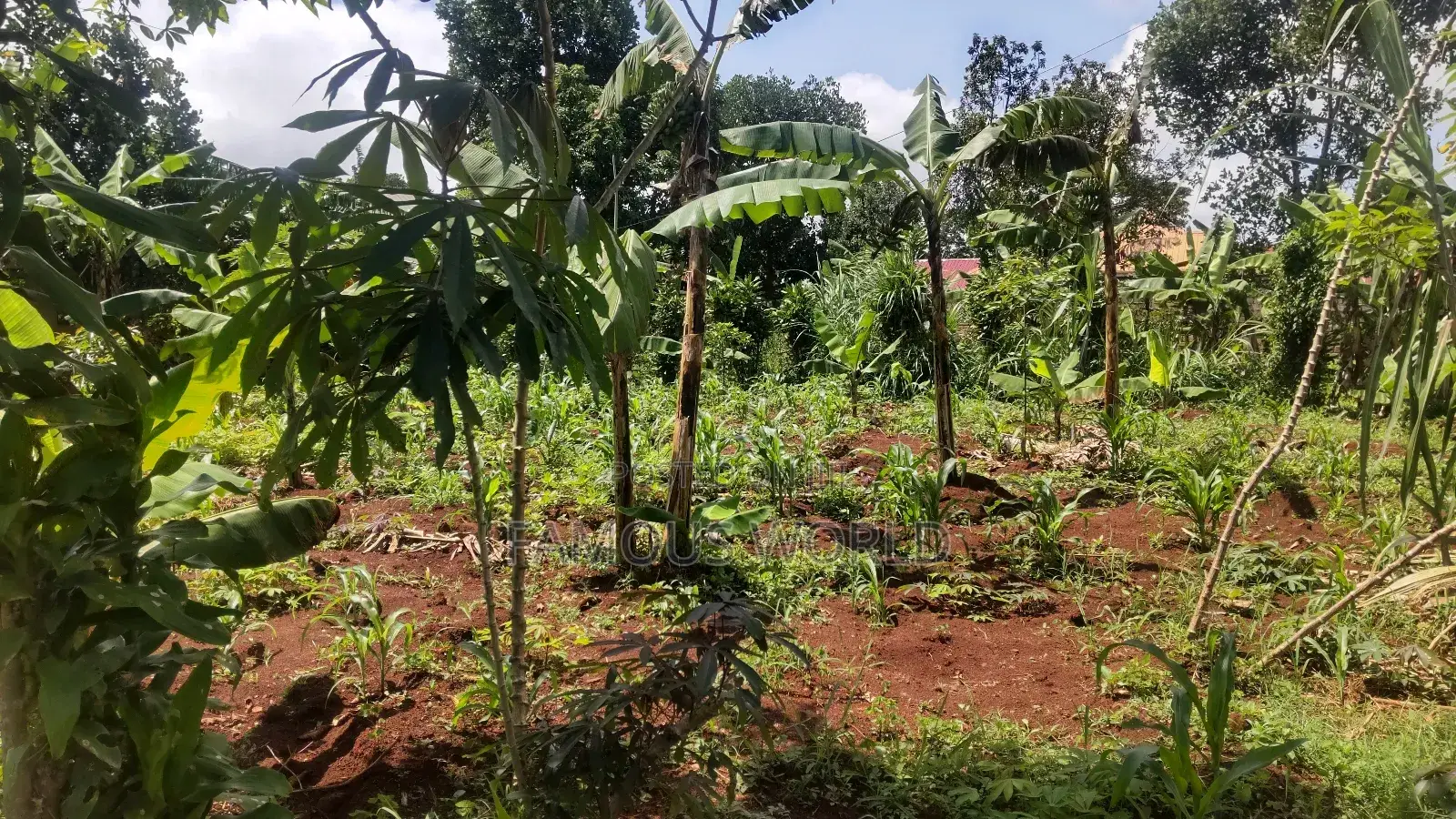 Entebbe Kabaale B Titled Land 100ft by 50 Ft on Tarmac Road
