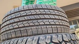 245/45r19 Double Star Tyre