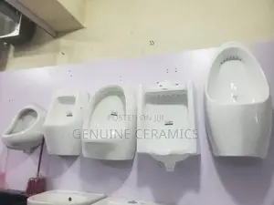Bathroom Urinals