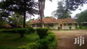 Three Bedroom House In Kololo For Rent