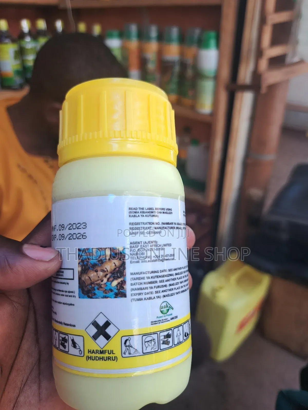 Termidor Termites Repellent / Killer, the Best
