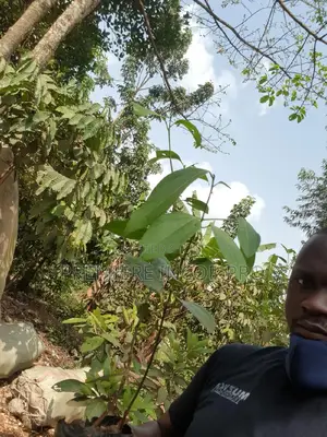 Premiere Incorporate Agriculture Products