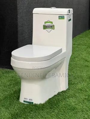 Toilet Seat