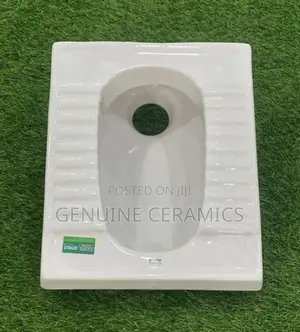 Squatting Toilets