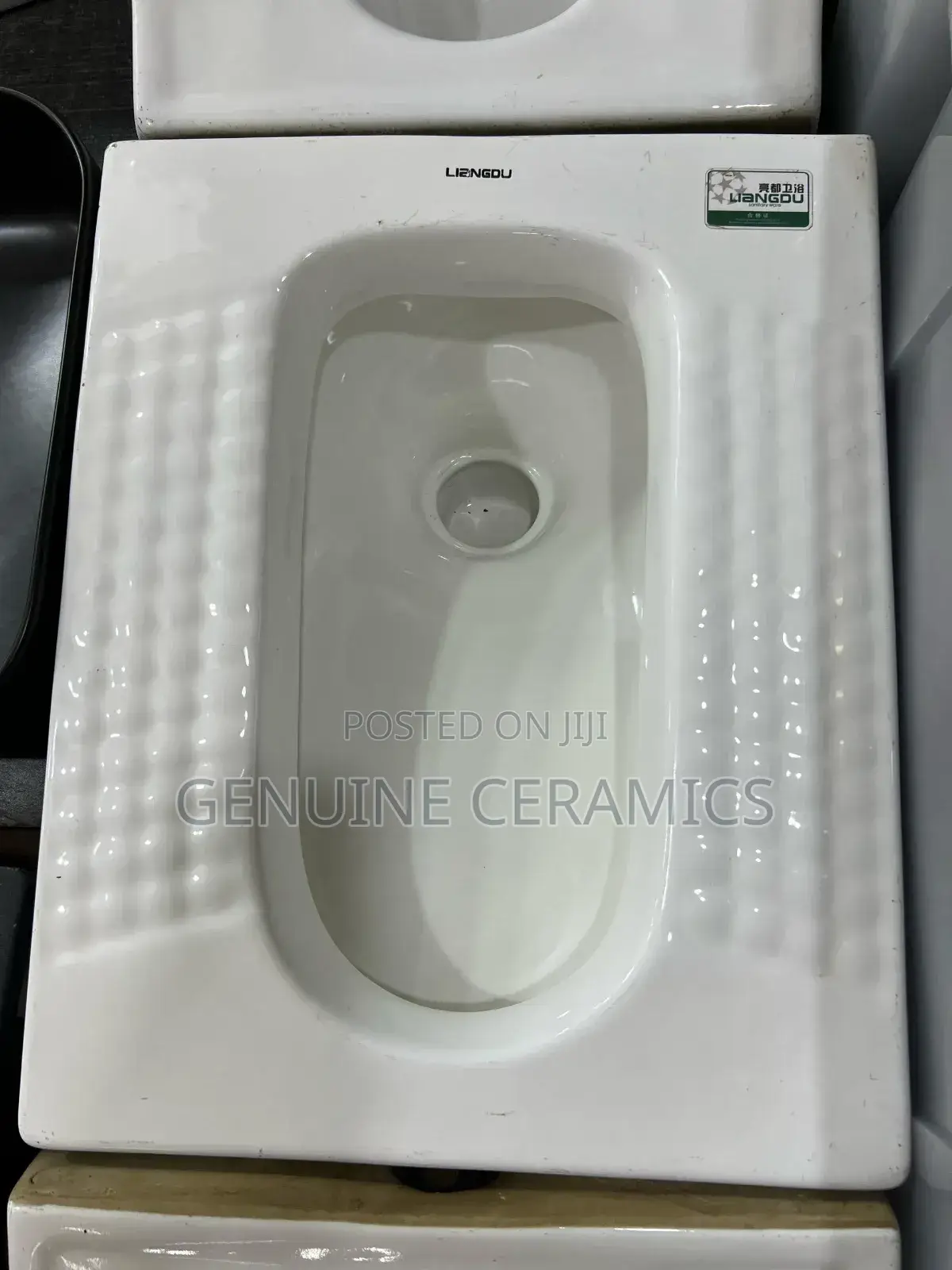 Squatting Toilet