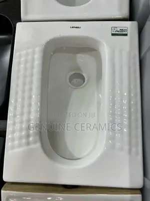 Squatting Toilet