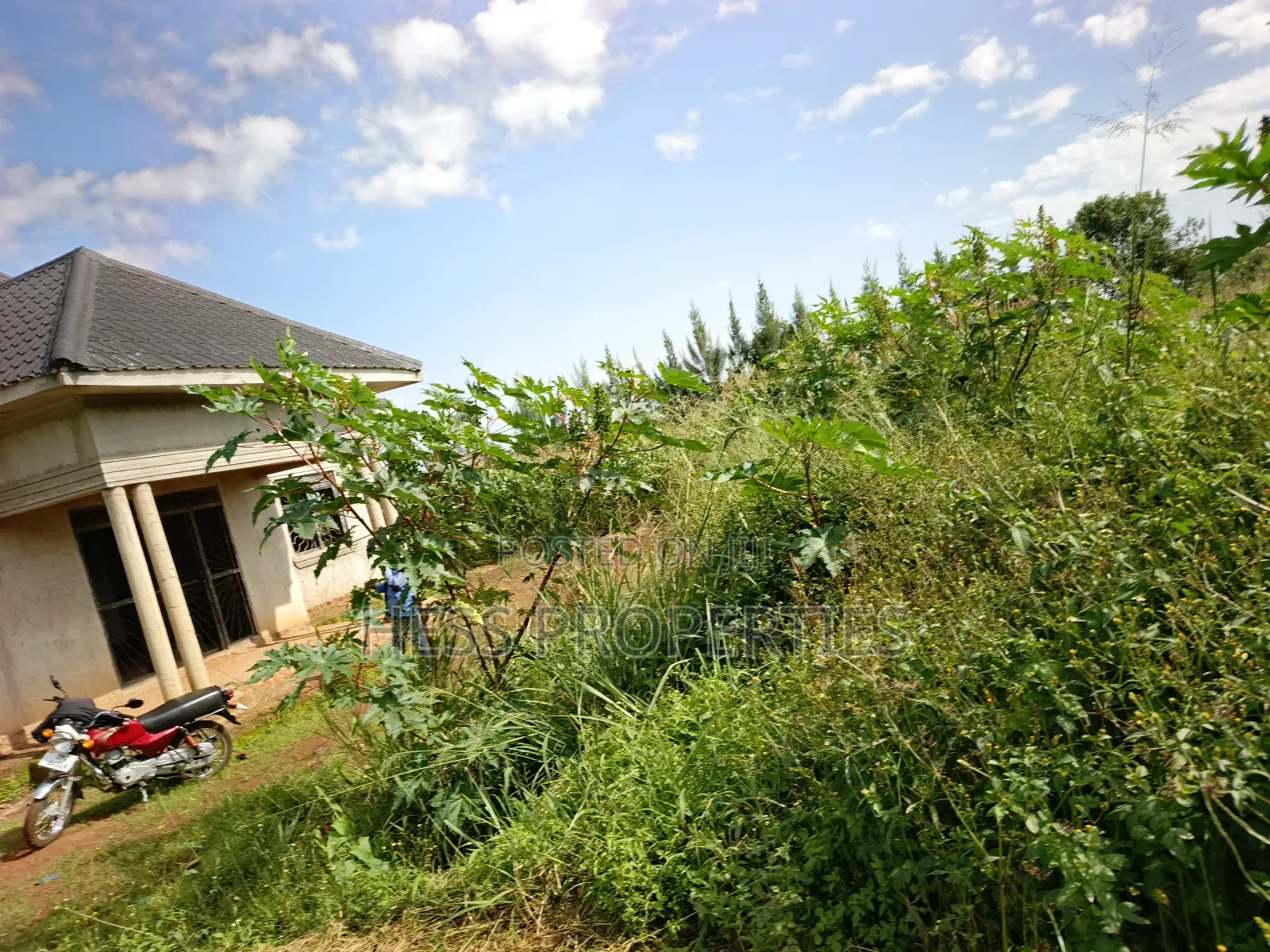 43acres of Land on Sale Located in Kyenjojo District
